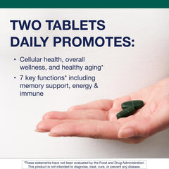 Closeup of Metagenics PhytoMulti iron tablets—gentle iron bisglycinate for everyday iron support.