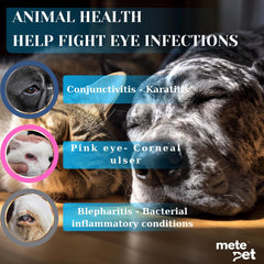 METEPET eye-care application on a dog demonstrates routine use.