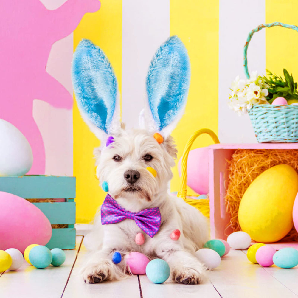 MGparty adjustable Easter headbands and glasses fit kids and adults