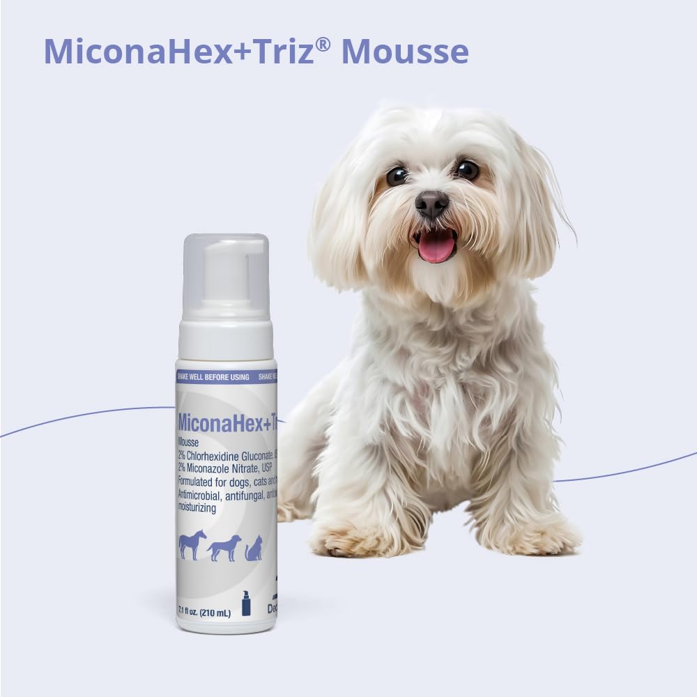 Mousse texture applying smoothly, supporting easy maintenance of healthy skin.