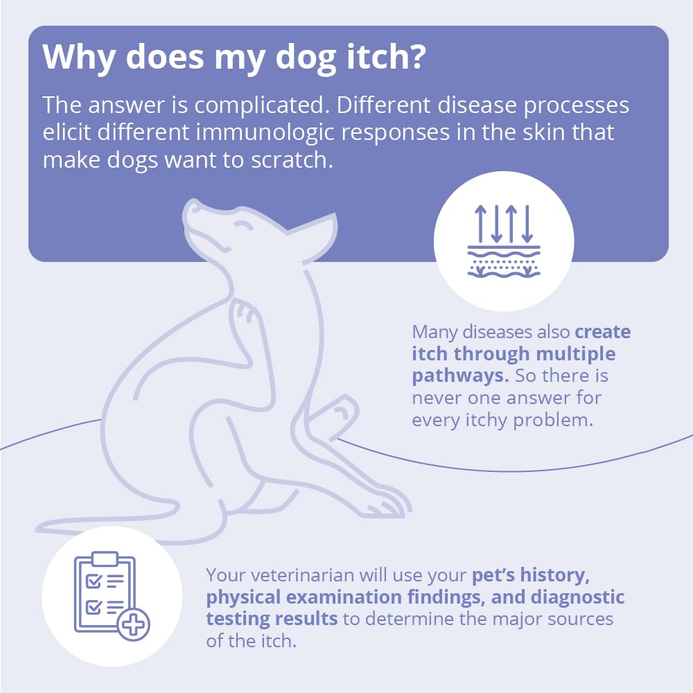 Multi-species use: MiconaHex+Triz mousse for various coat care needs.