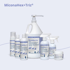 Cat application scene with MiconaHex+Triz spray for gentle skin support.