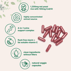 Micro Ingredients 4-in-1 formula diagram highlights CoQ10, niacin, and vitamin C integration.