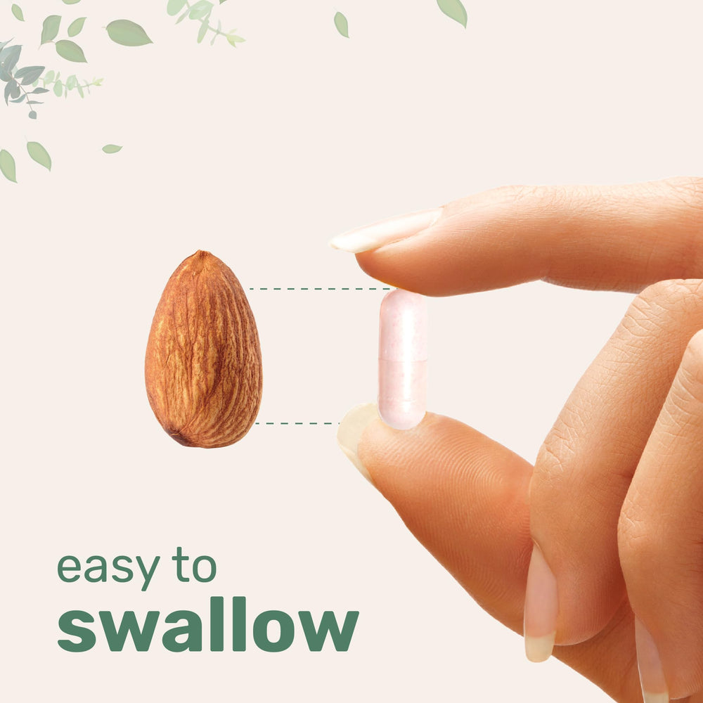 Graphic of 4-in-1 formula with clean ingredients by Micro Ingredients