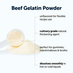 Micro Ingredients beef gelatin powder in bowl enabling smooth pudding textures