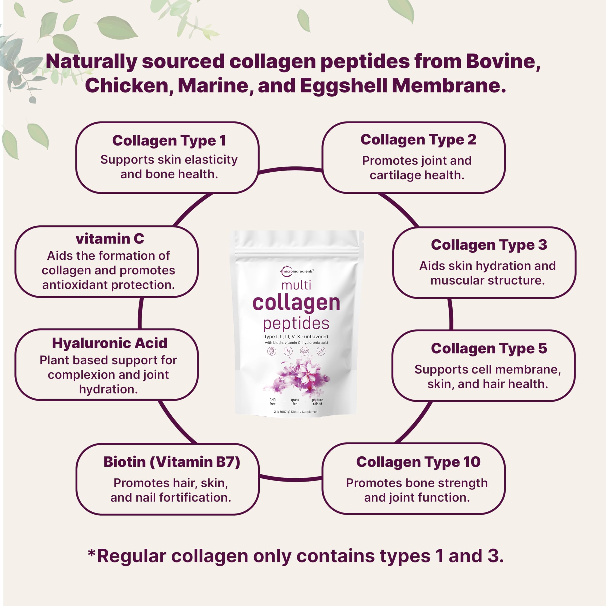 Micro Ingredients Biotin and Hyaluronic Acid ingredients close-up highlighting hydration support.