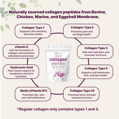 Micro Ingredients Biotin and Hyaluronic Acid ingredients close-up highlighting hydration support.