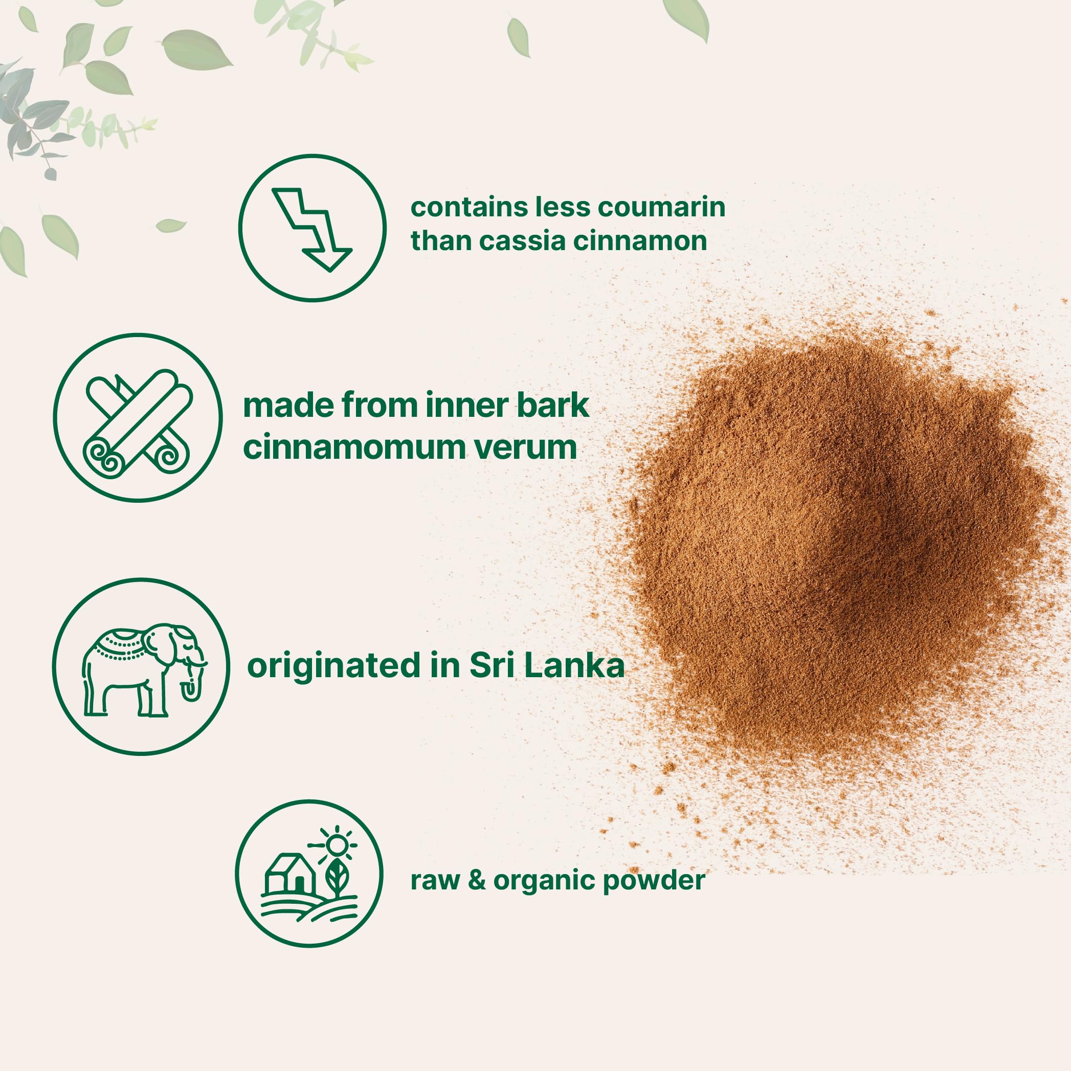 Micro Ingredients Organic Ceylon Cinnamon powder jar for kitchen aroma
