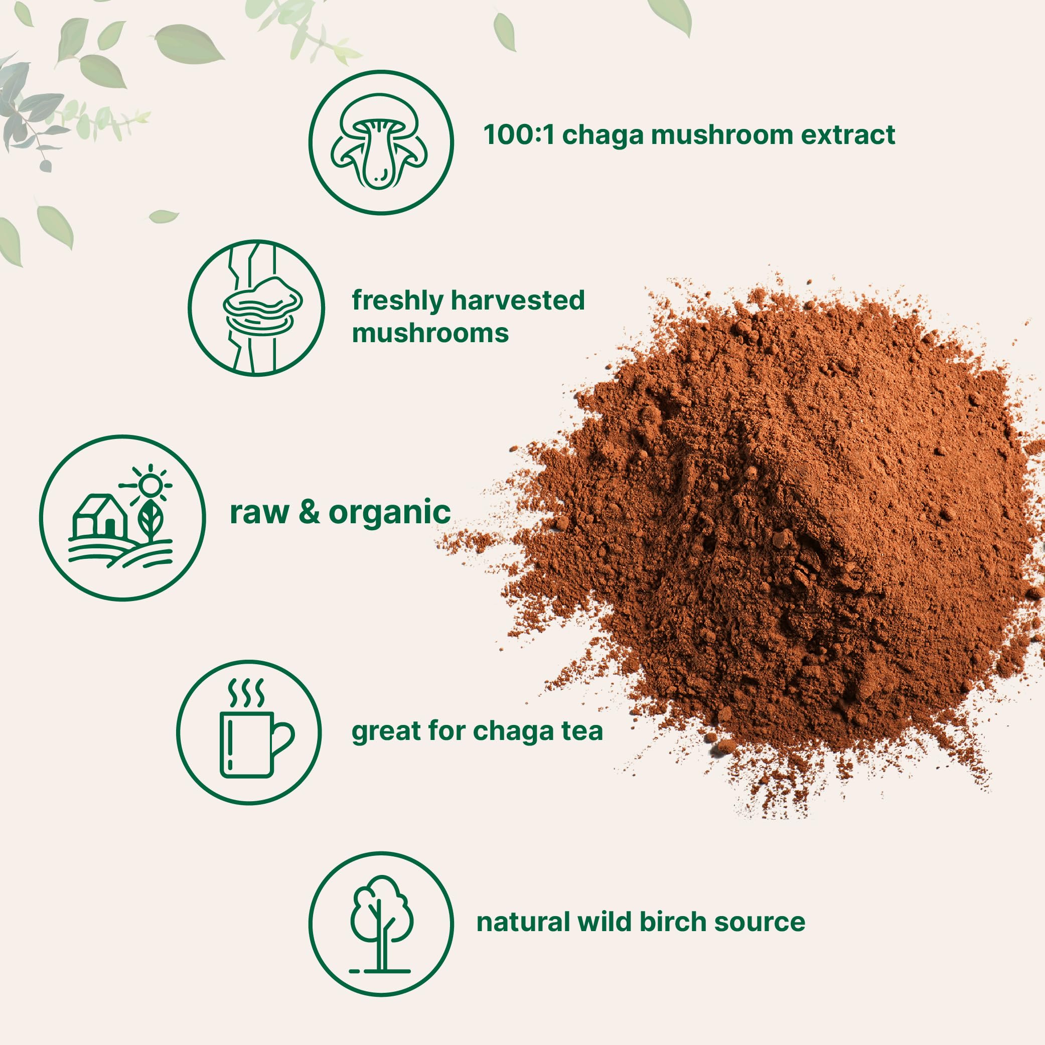 Micro Ingredients chaga powder scoop ready to mix into smoothies or coffee.
