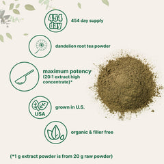 Micro Ingredients dandelion root tea powder ready to brew for a smooth, earthy cup.