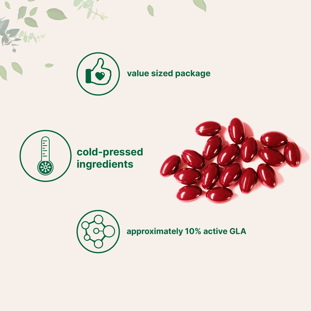 Micro Ingredients Evening Primrose Oil pouch with 240 softgels signals value and convenience