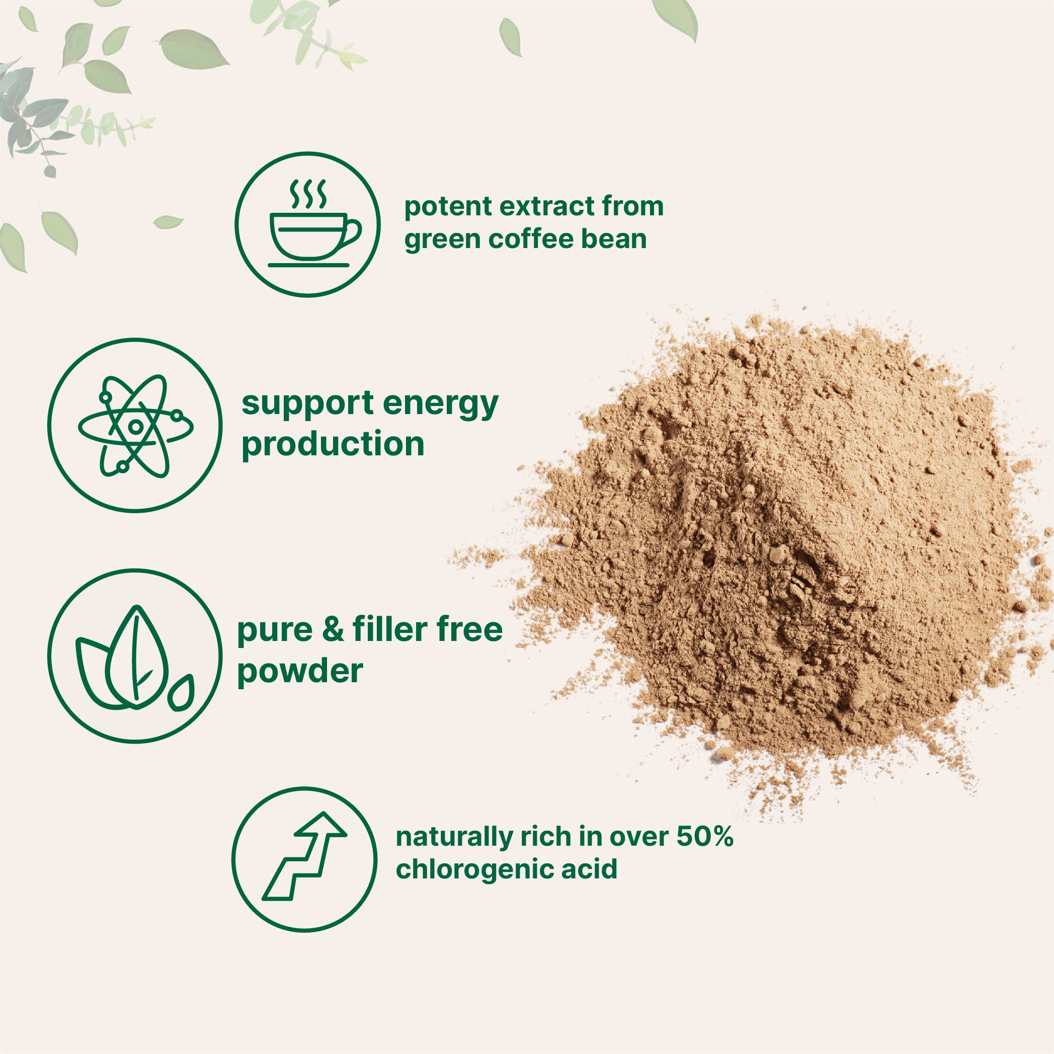 Micro Ingredients Pure Green Coffee Bean Extract powder with chlorogenic acid supports daily energy