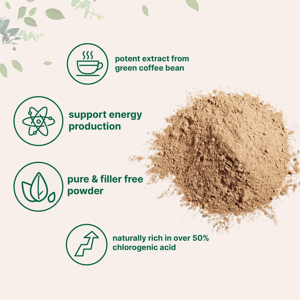 Micro Ingredients Pure Green Coffee Bean Extract powder with chlorogenic acid supports daily energy