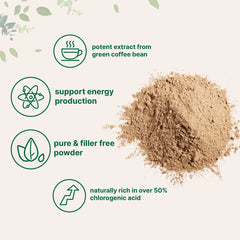 Micro Ingredients Pure Green Coffee Bean Extract powder with chlorogenic acid supports daily energy