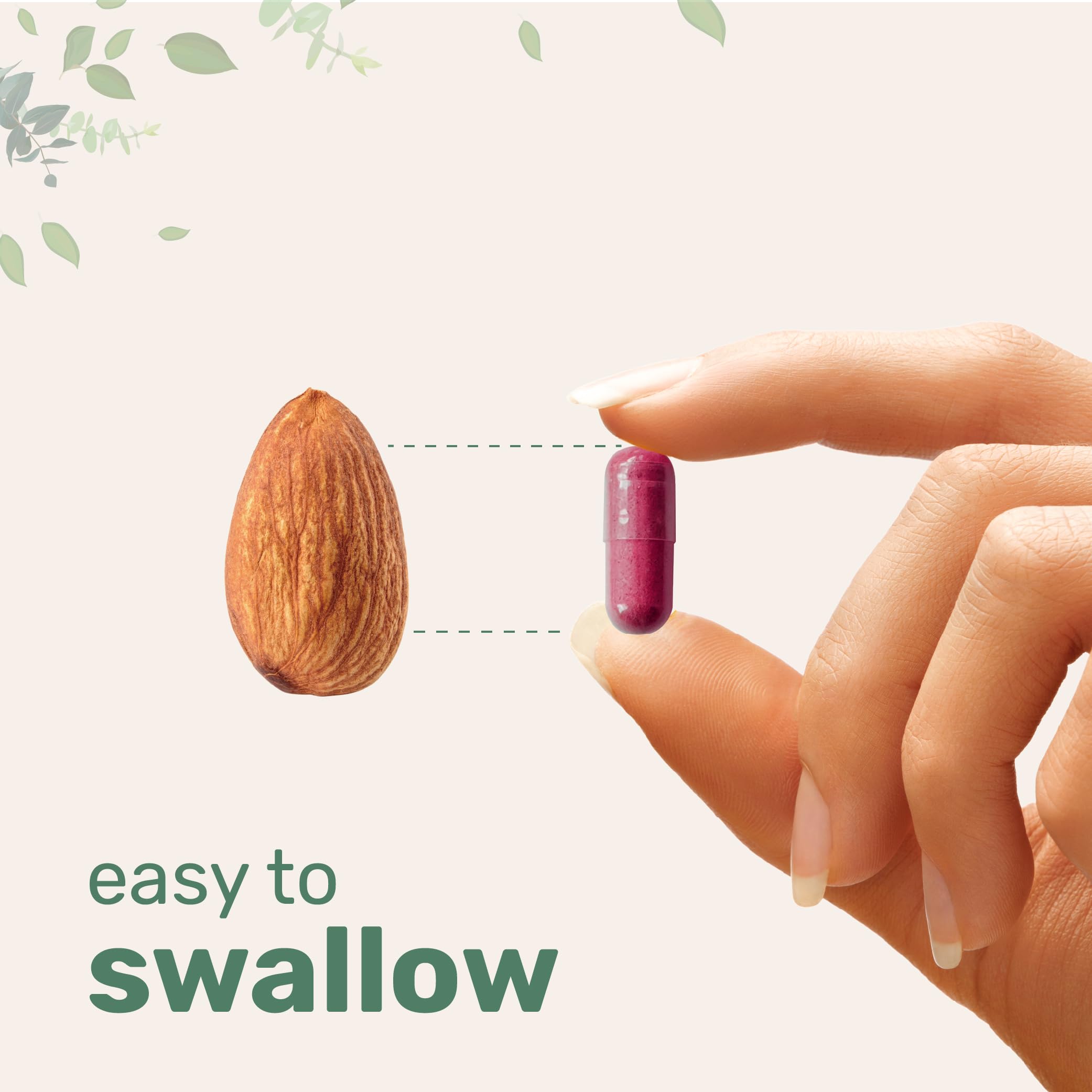 Micro Ingredients ingredients label graphic shows 240 capsules per bottle for daily dosing.