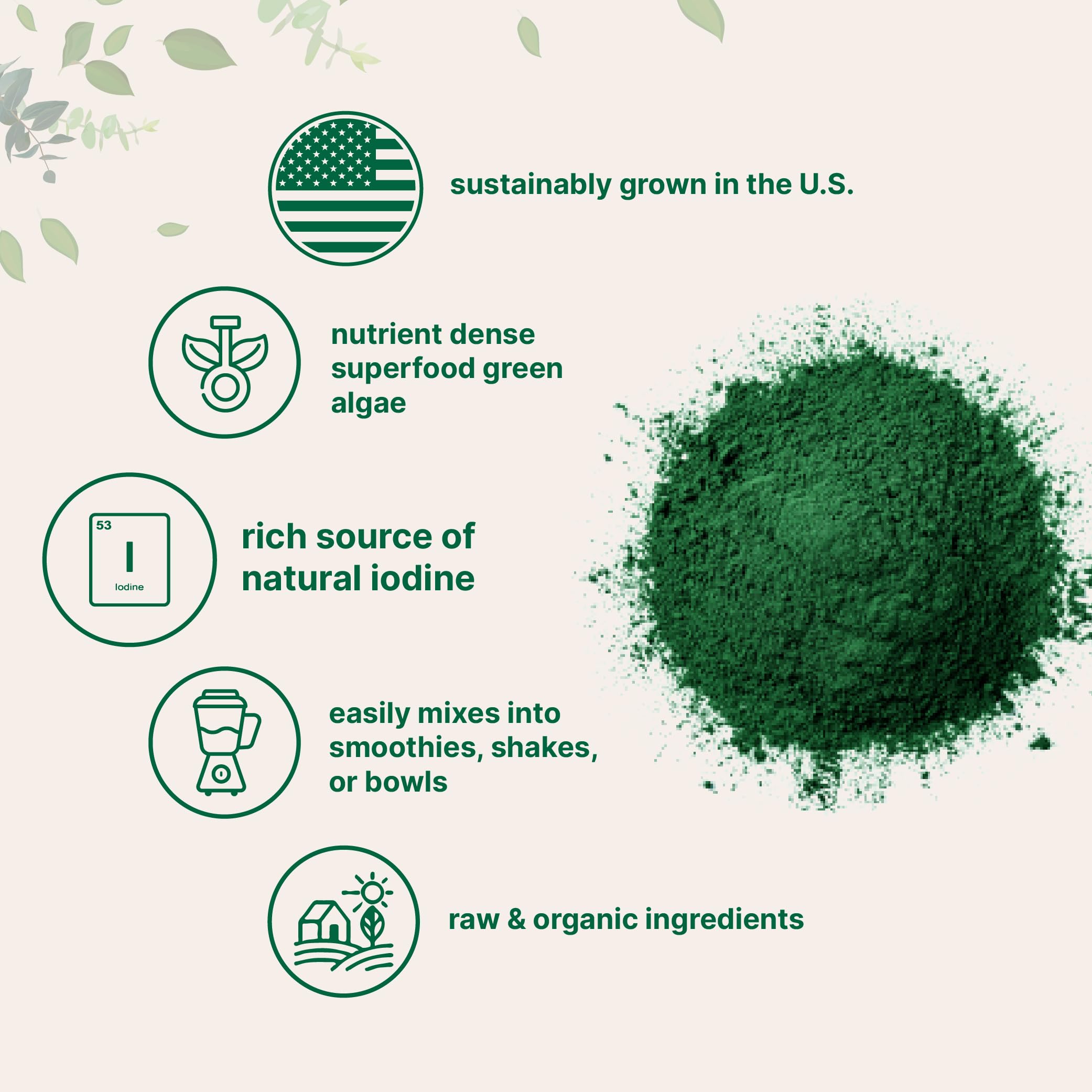Micro Ingredients kelp powder on salad for quick nutrition