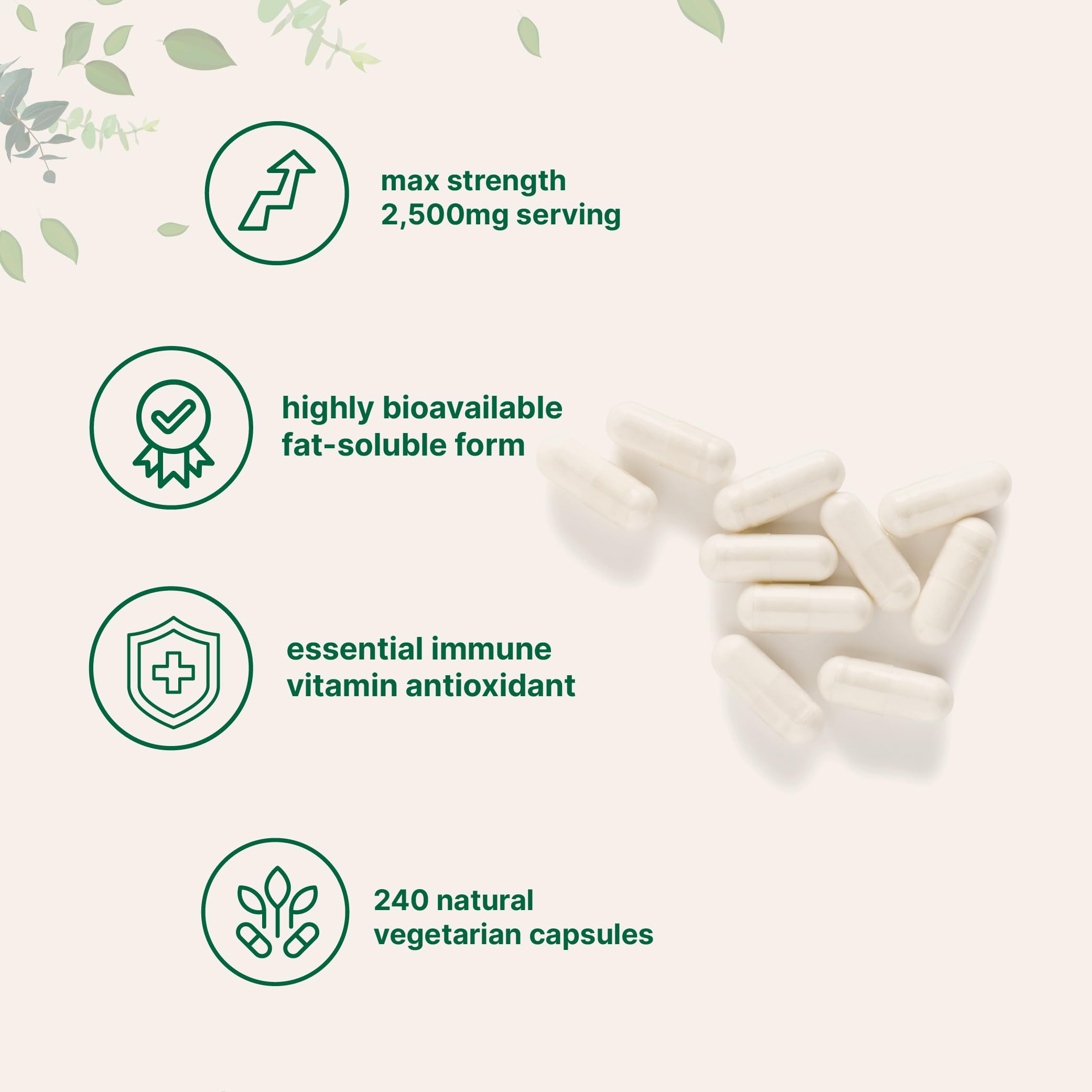 Liposomal delivery bubbles demonstrate enhanced uptake in Micro Ingredients Vitamin C