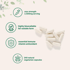 Liposomal delivery bubbles demonstrate enhanced uptake in Micro Ingredients Vitamin C