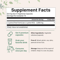 Micro Ingredients Lysine HCl bottle shows a clean, free-form daily supplement.