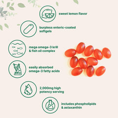 Micro Ingredients Mega Omega-3 softgels close-up showing 2,000 mg serving for comprehensive omega-3 intake