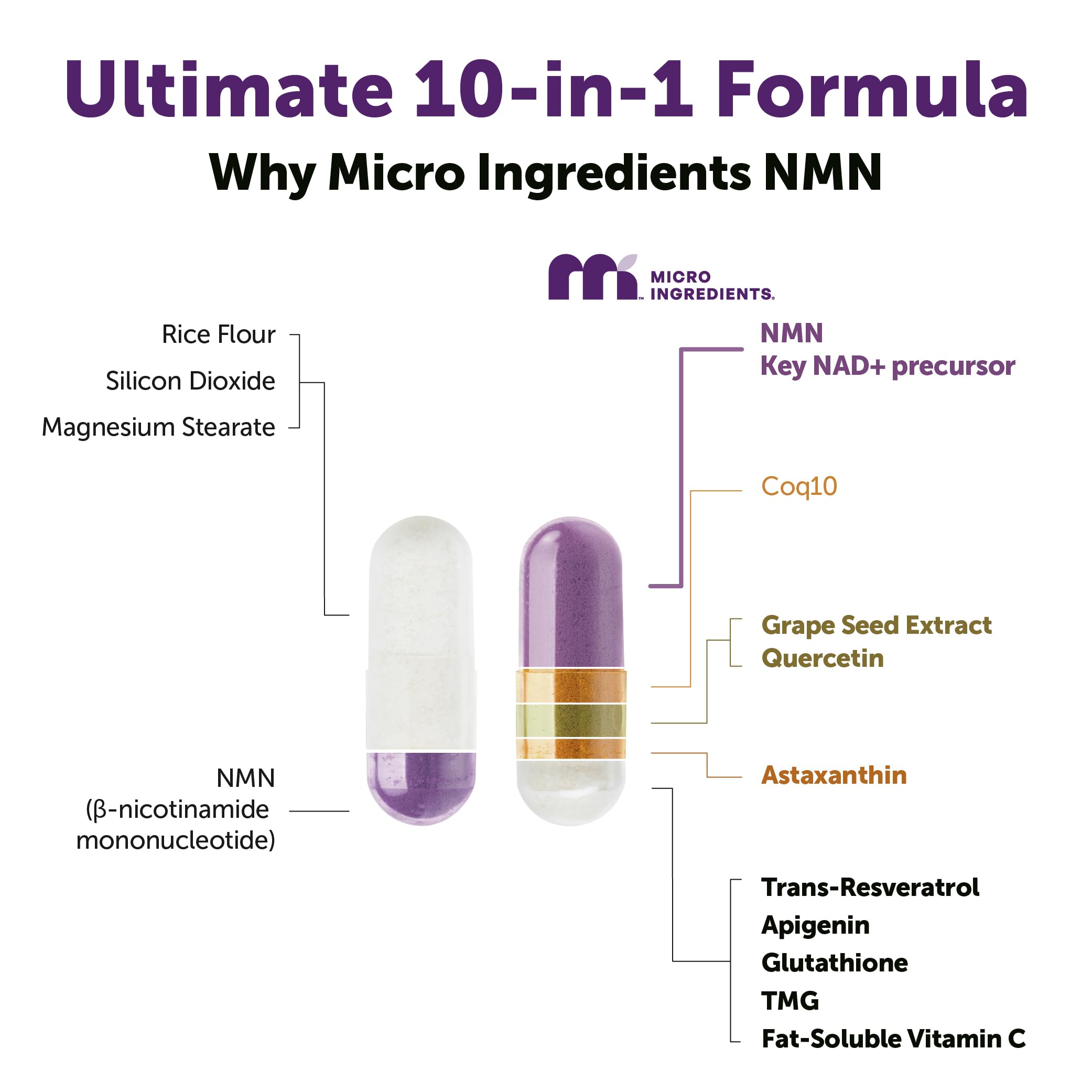 Micro Ingredients NMN Complex ingredient blend highlights antioxidants and coenzymes
