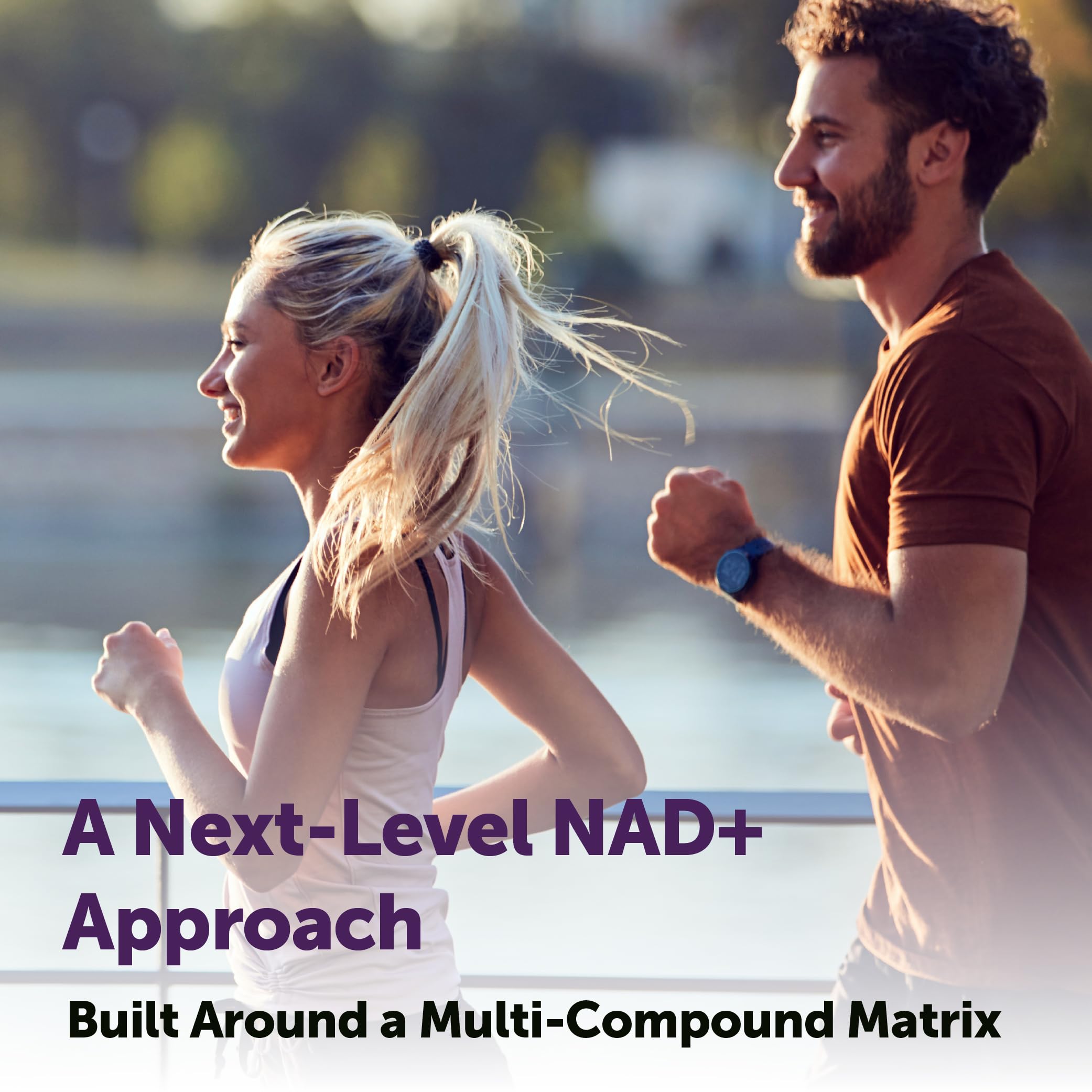 Sunflower lecithin phospholipid capsule used in Micro Ingredients NAD+ blend.
