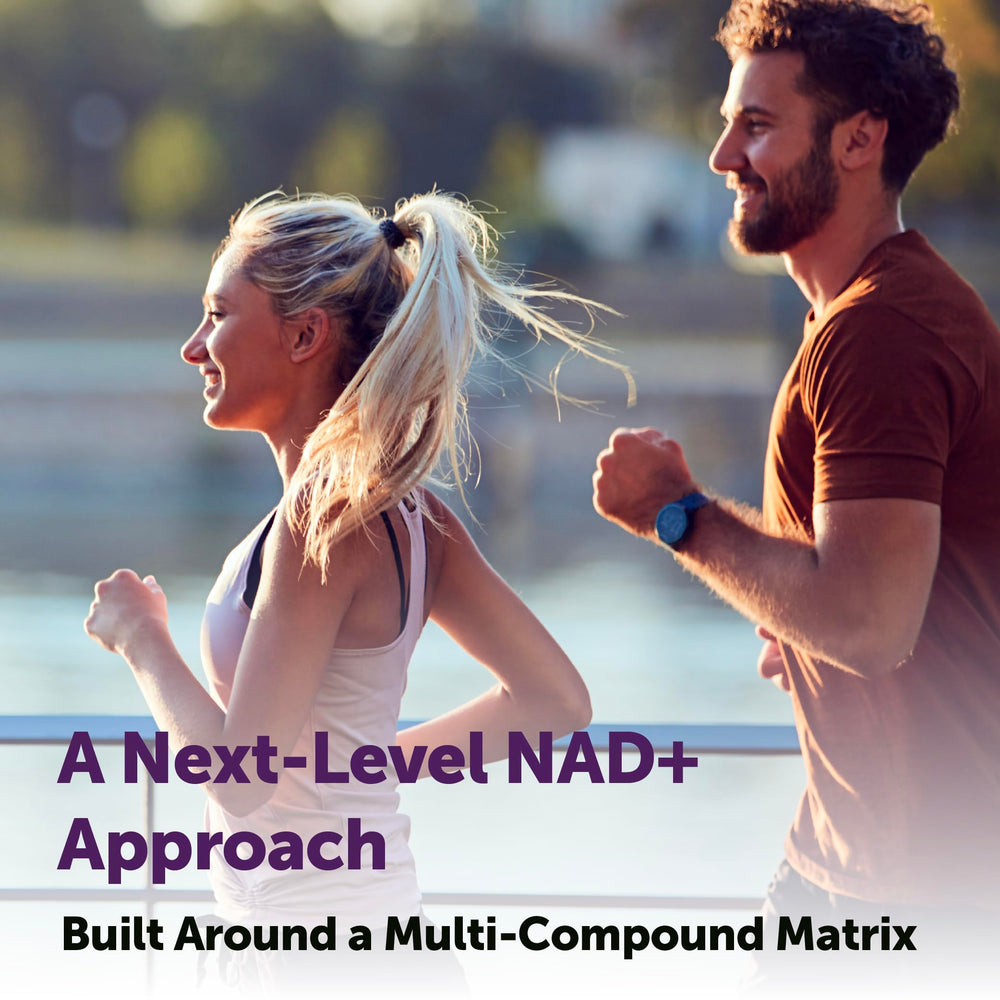 Sunflower lecithin phospholipid capsule used in Micro Ingredients NAD+ blend.