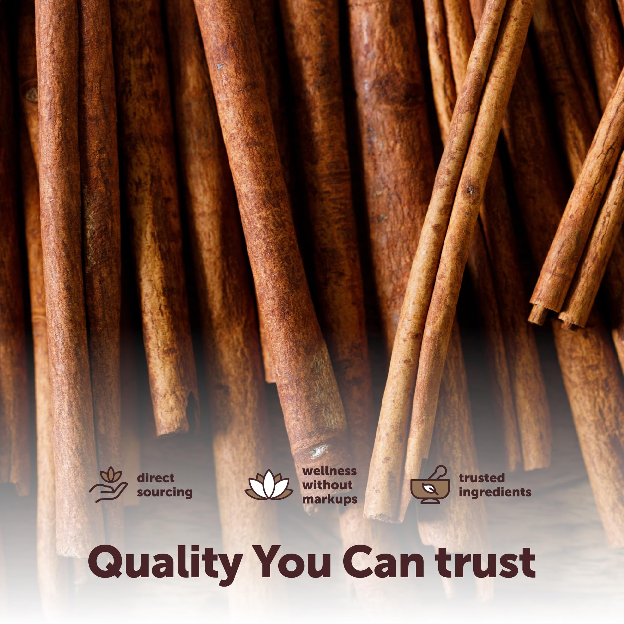 Cinnamon sticks for potpourri and home fragrance.