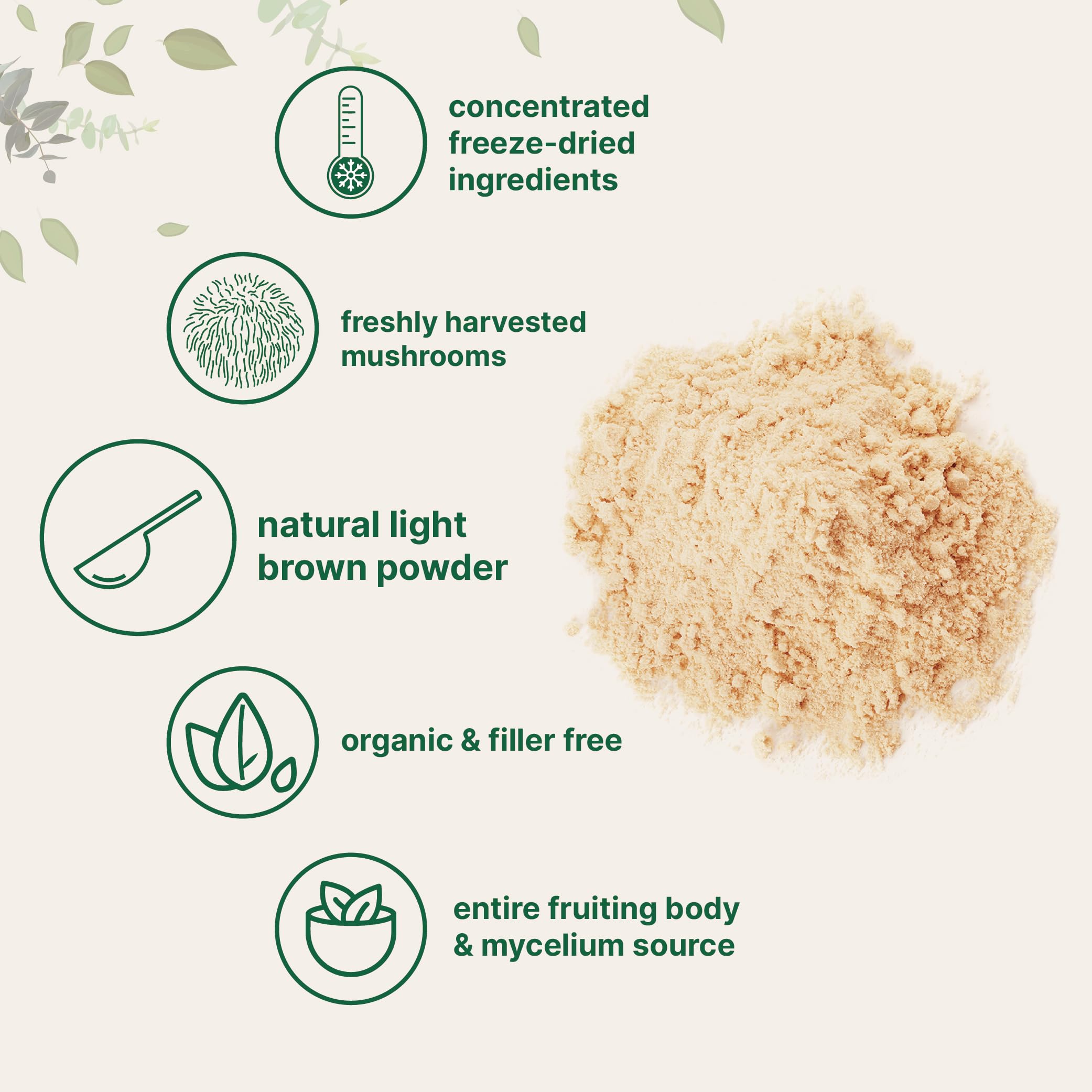 Micro Ingredients Organic Lion’s Mane powder close-up reveals a fine, smooth texture.