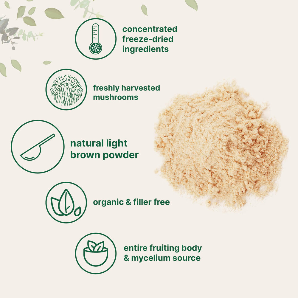 Micro Ingredients Organic Lion’s Mane powder close-up reveals a fine, smooth texture.