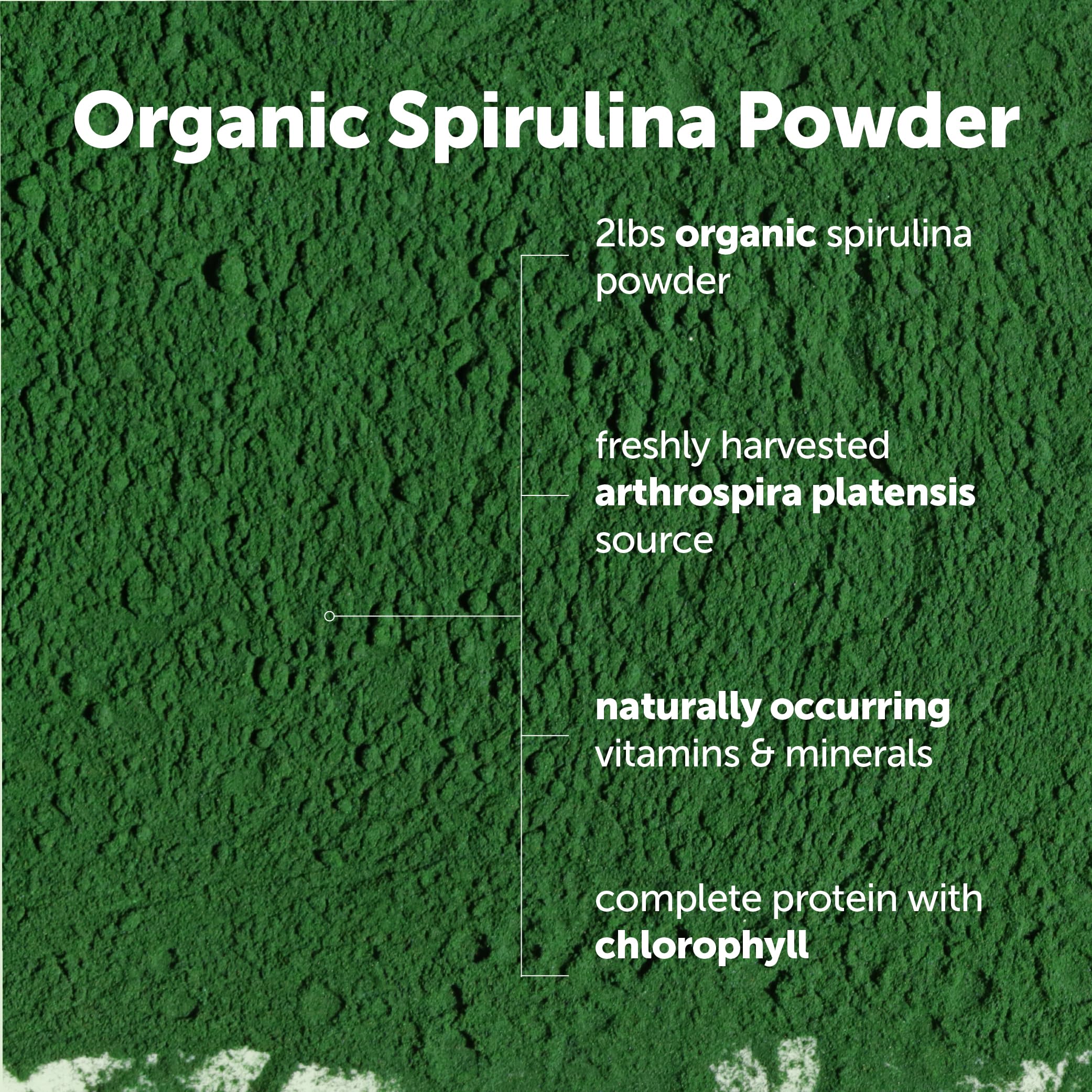 Micro Ingredients spirulina powder bulk pouch ready for smoothies and shakes.