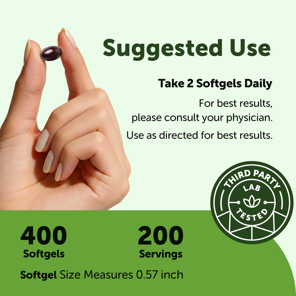 Micro Ingredients Panax Ginseng and Lion’s Mane blend softgels support a balanced daily routine.