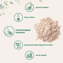 Micro Ingredients papaya powder in a smoothie glass