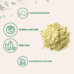 Broken cell wall pine pollen powder ready to mix for faster absorption.