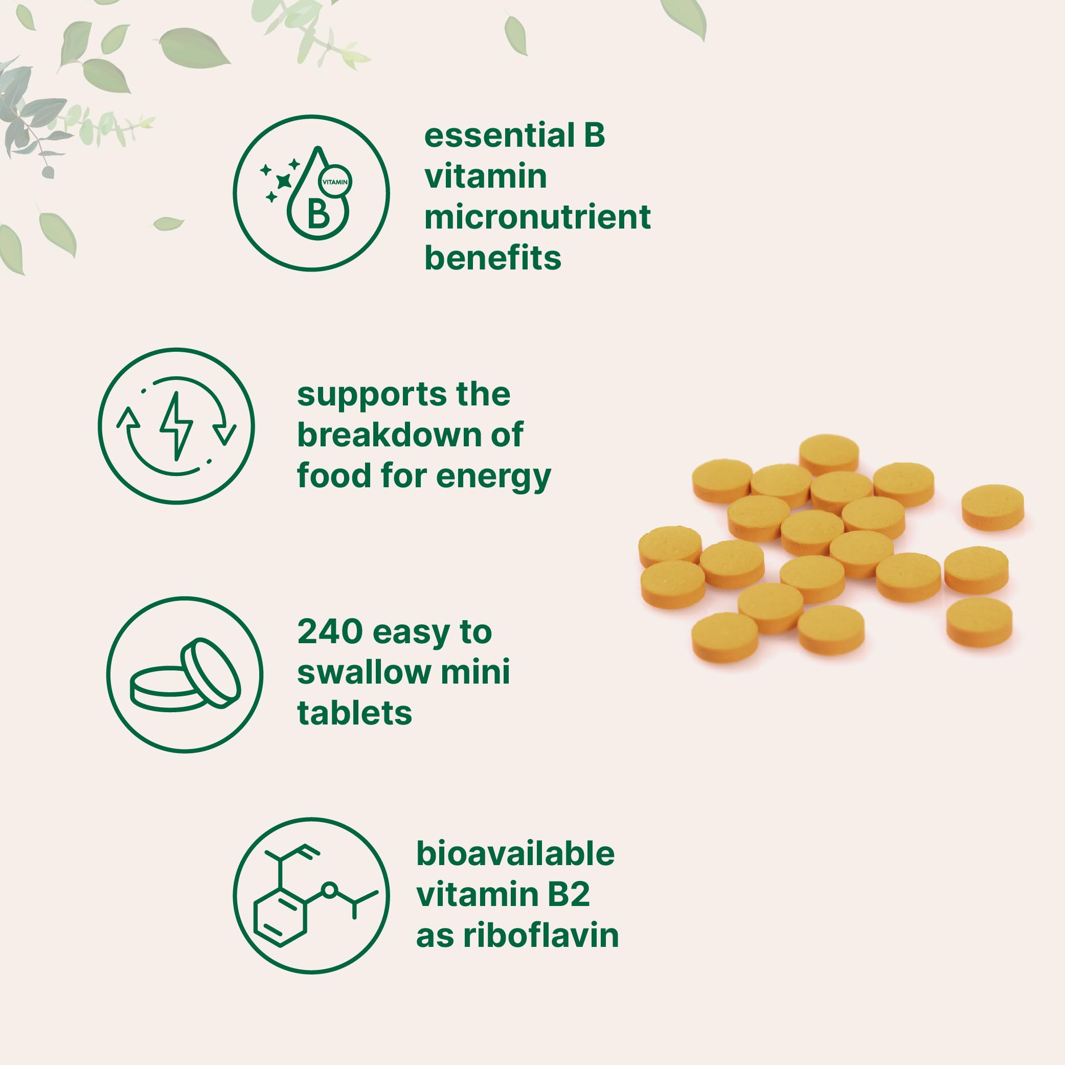 Micro Ingredients riboflavin pouch front showing non-GMO vitamin B2 supplement.