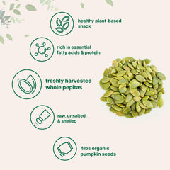 Micro Ingredients shelled pumpkin seeds pepitas in a bowl, ready to top salads or yogurt