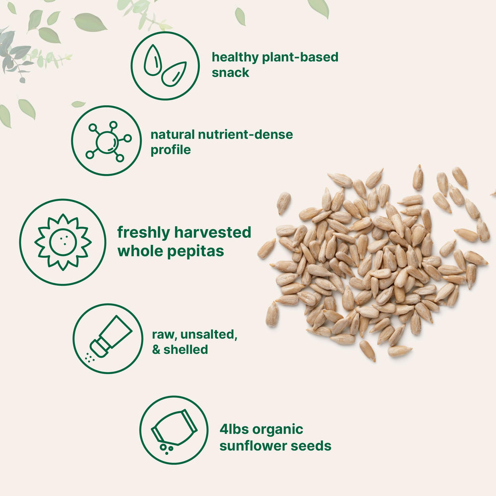 Micro Ingredients shelled sunflower seeds ready for salads