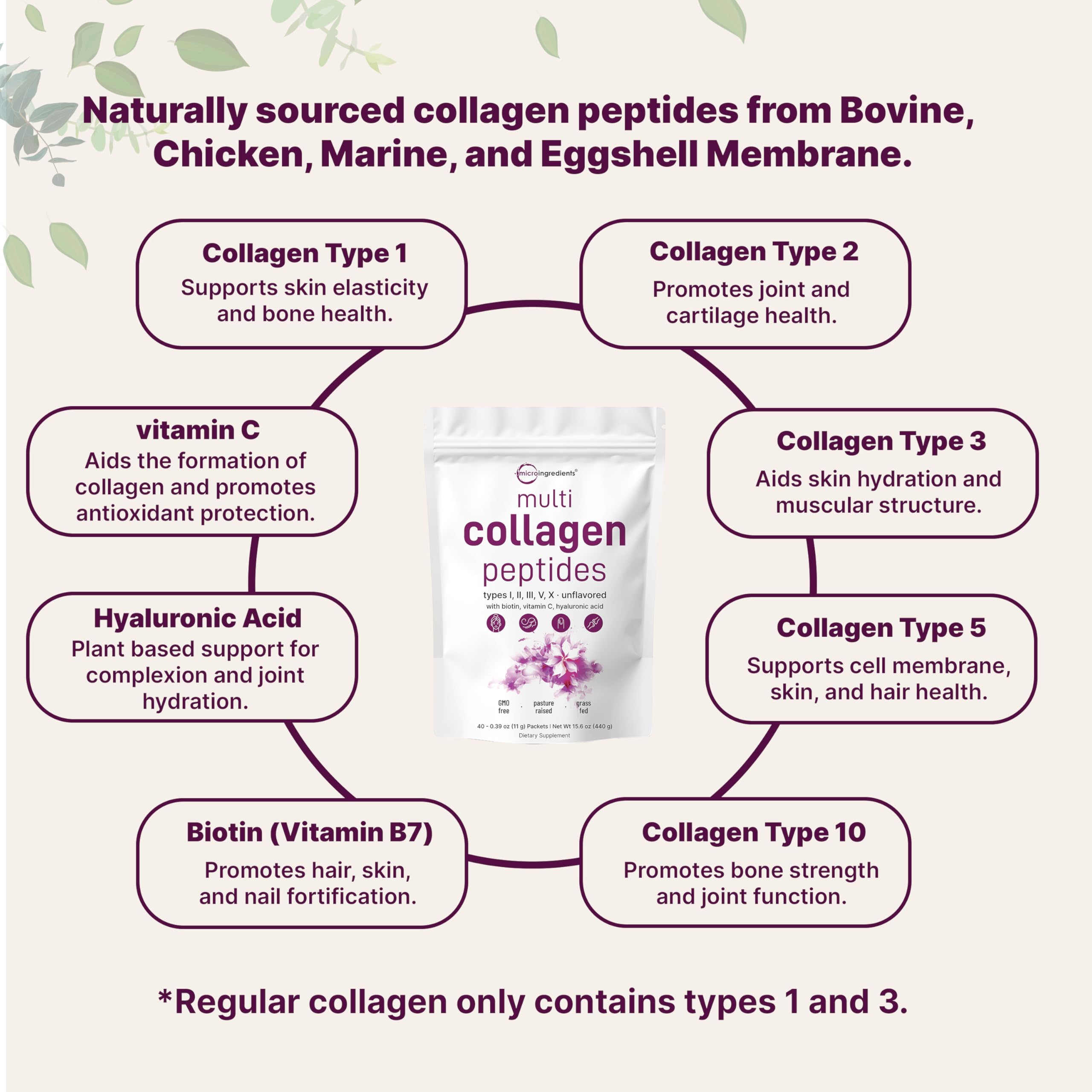 Micro Ingredients types I–X collagen blend indicating broad skin and joint support.