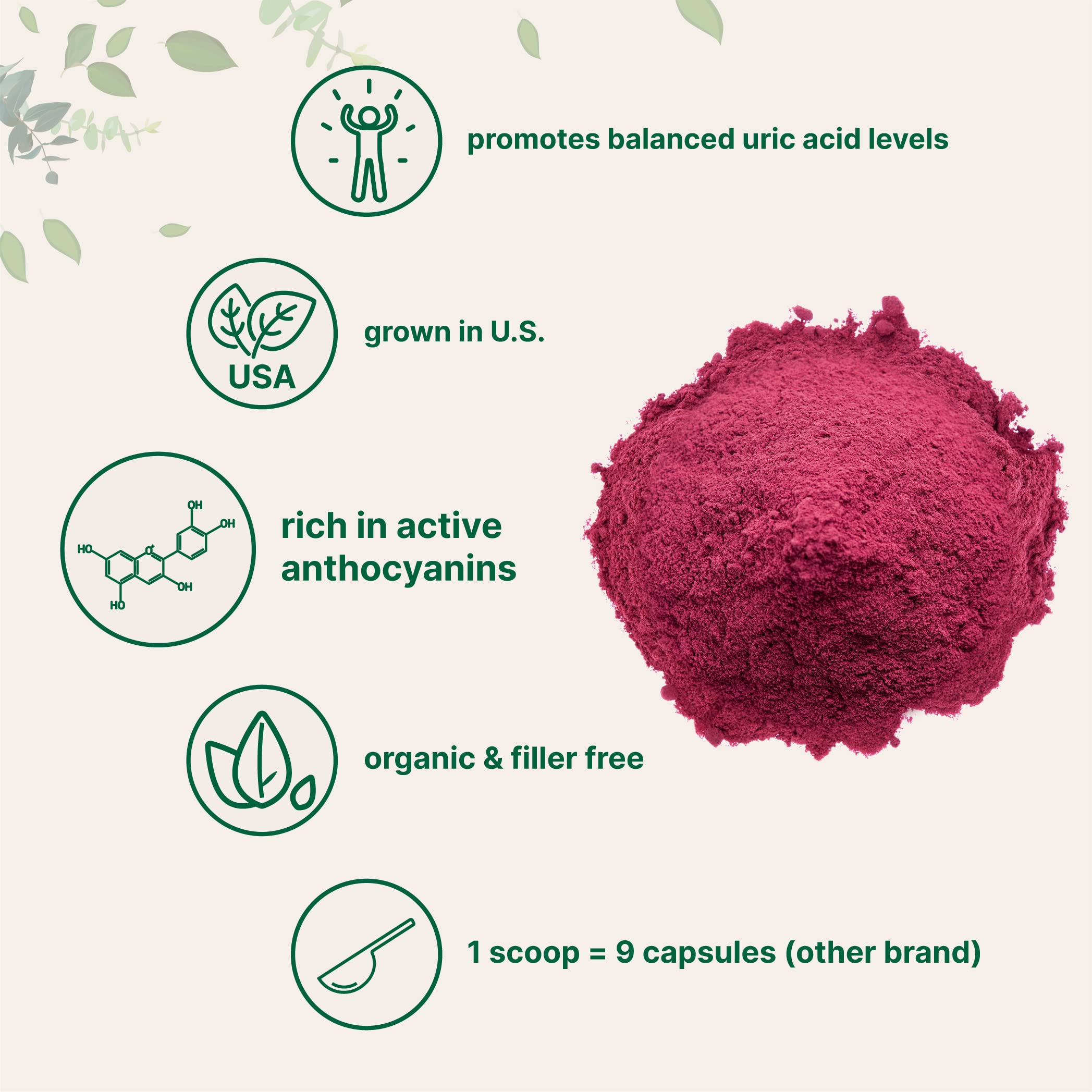 Pour tart cherry powder into a smoothie for natural flavor and nutrients.