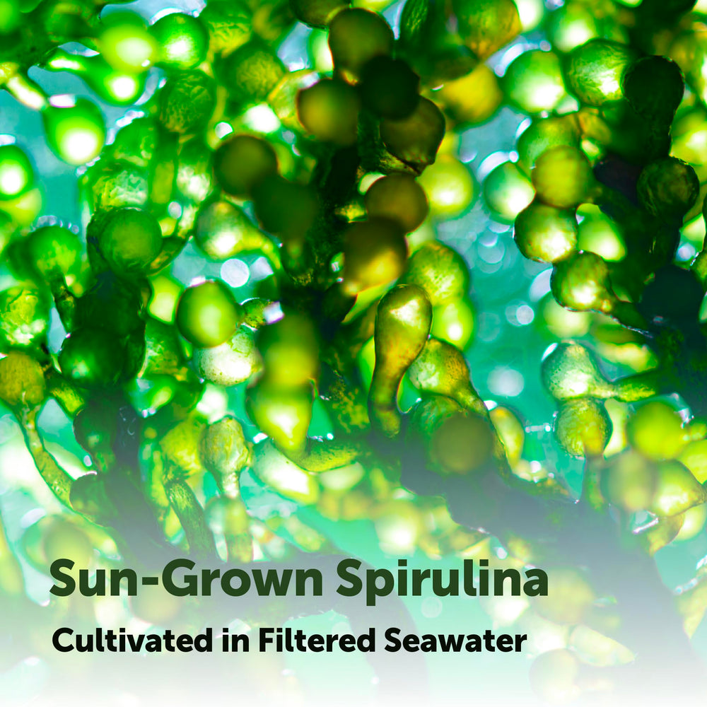 Micro Ingredients USA-made spirulina with third-party lab testing for safety.