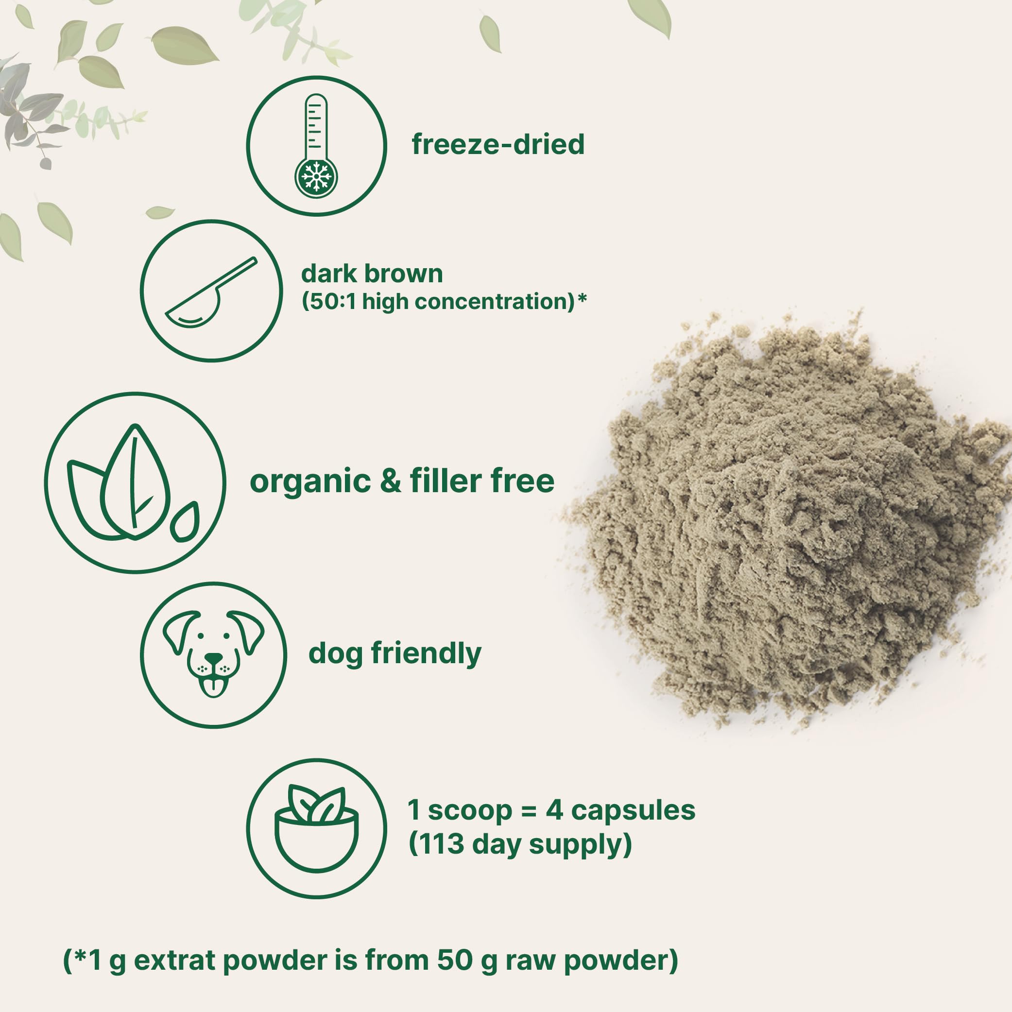 Vegan-friendly turkey tail powder by Micro Ingredients for everyday use.