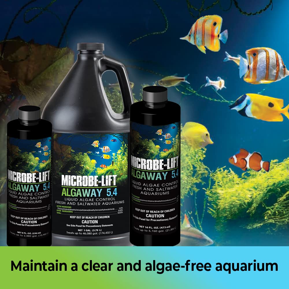 Algaway 5.4 added near the outflow to maximize algae control in tanks.