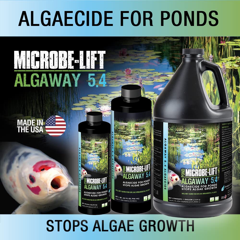 Pouring Algaway 54 into a pond to support clearer water.