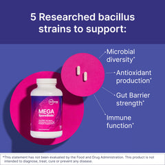 MegaSporeBiotic capsules sealed for travel-friendly gut balance.