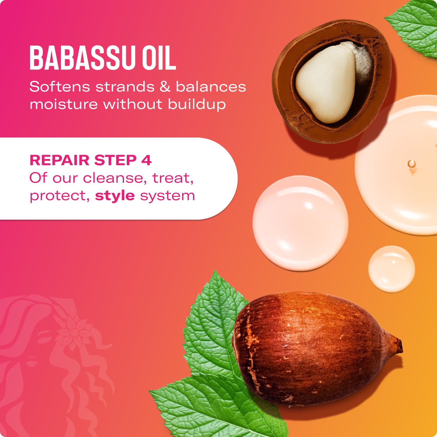 Ingredient close-up highlighting hydrating oils in the curl cream