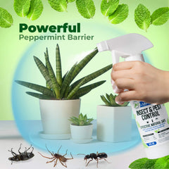 Mighty Mint 8oz peppermint oil bottle side view for storage and easy access.