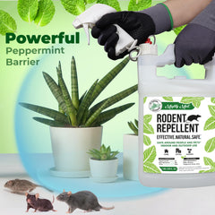 Mighty Mint baseboard application for indoor deterrence.