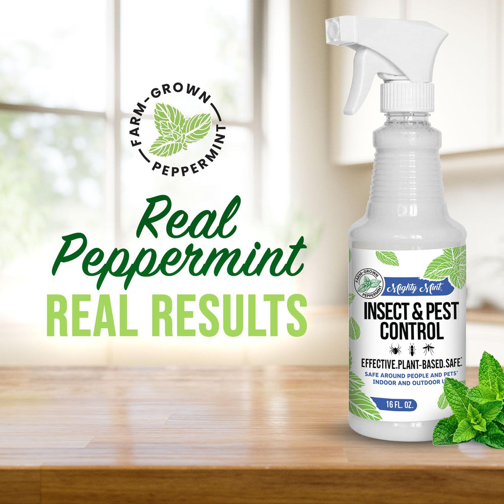 Mighty Mint spray on baseboards deters common pests without staining.