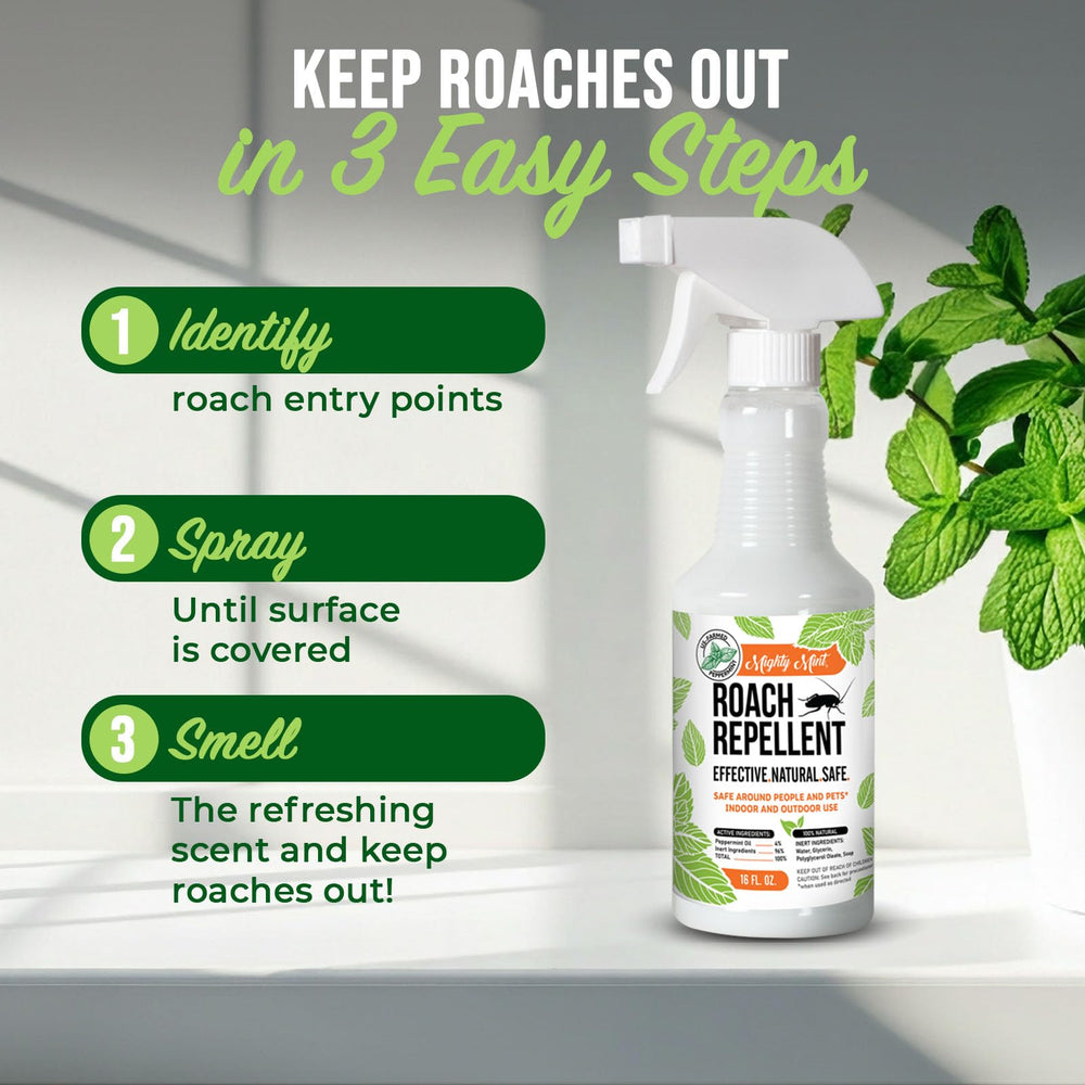 Mighty Mint baseboard and window sill application for hidden roach routes