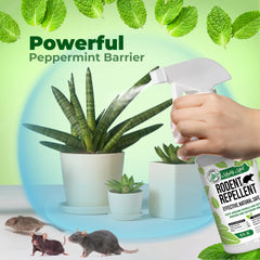 Mighty Mint fresh mint aroma after spray in a room